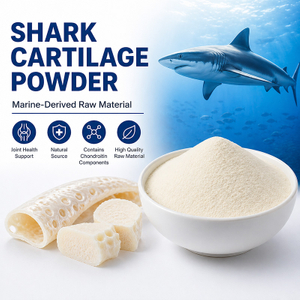 Fornitore di polvere di cartilagine di squalo | Ingrediente salutare per le articolazioni di origine marina
