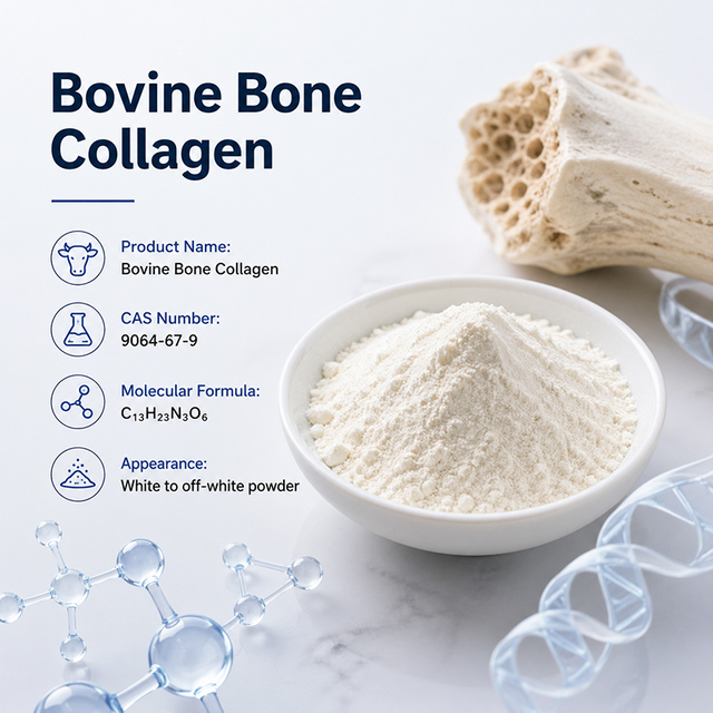 Collag&egrave;ne osseux bovin